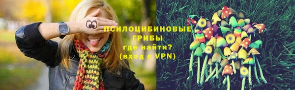 прущий лед Ладушкин