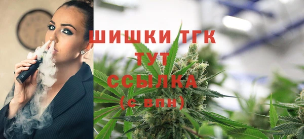 крисы Лагань